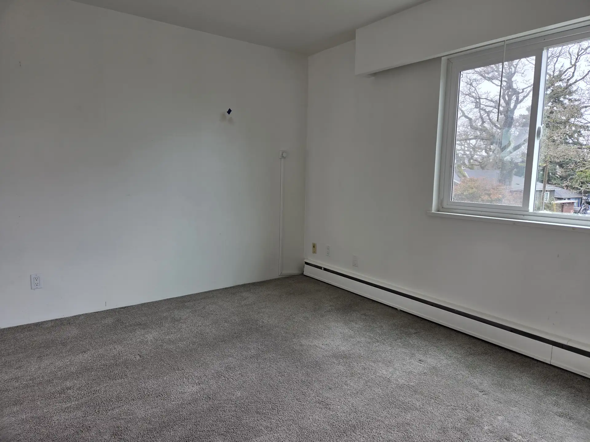 Before — flooring installation Victoria BC — PAVIA