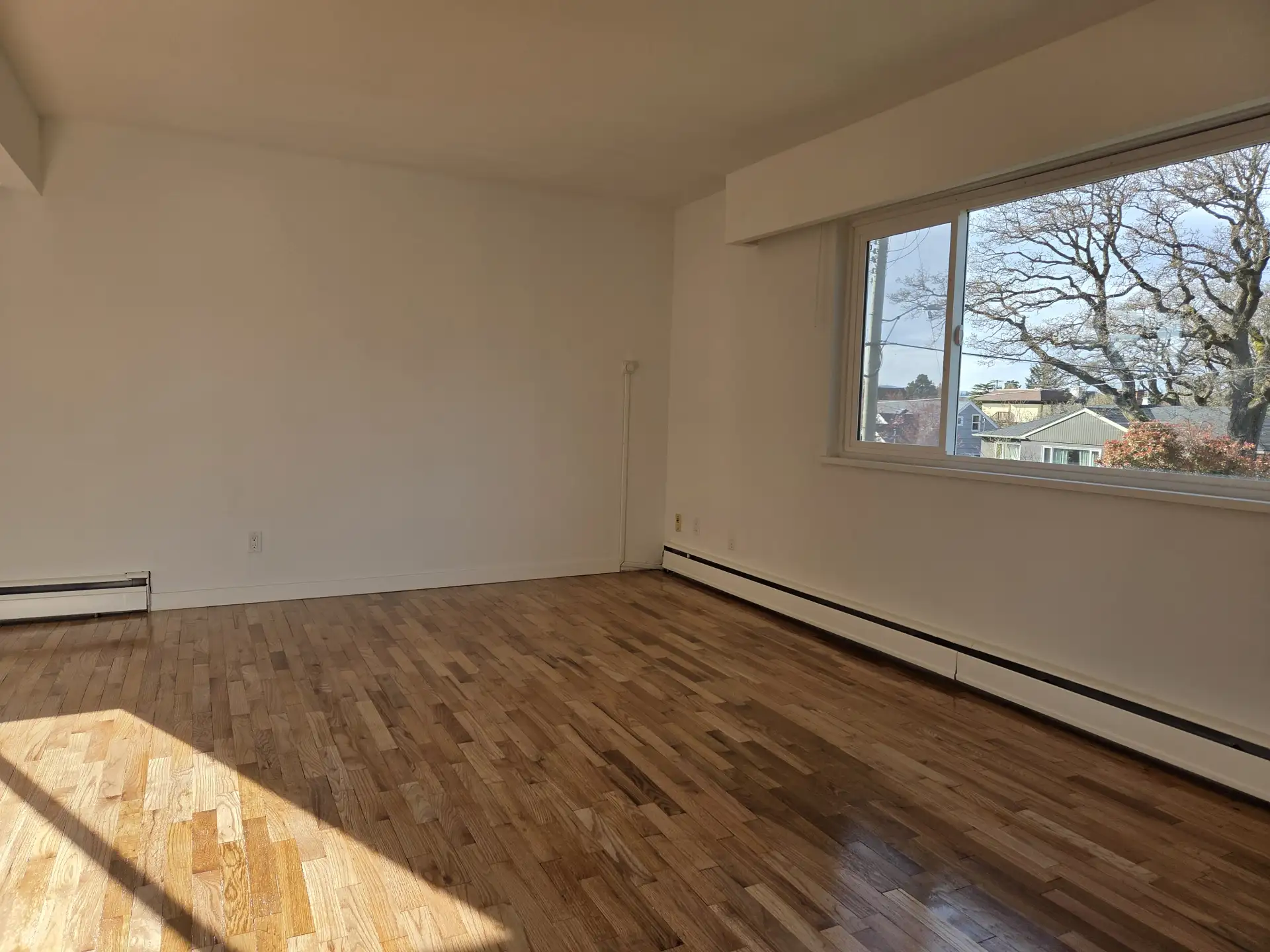 After — flooring installation Victoria BC — PAVIA